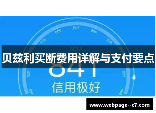 贝兹利买断费用详解与支付要点