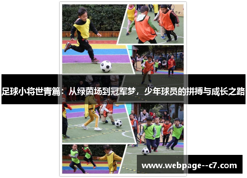 足球小将世青篇:从绿茵场到冠军梦,少年球员的拼搏与成长之路 足球小将世青篇:从绿茵场到冠军梦,少年球员的拼搏与成长之路