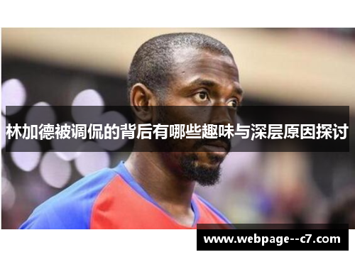 林加德被调侃的背后有哪些趣味与深层原因探讨