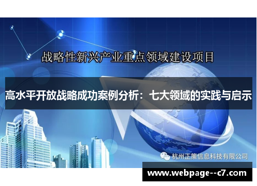 高水平开放战略成功案例分析:七大领域的实践与启示 高水平开放战略成功案例分析:七大领域的实践与启示