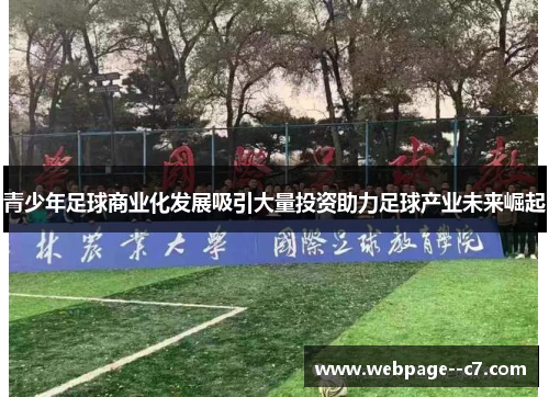 青少年足球商业化发展吸引大量投资助力足球产业未来崛起 青少年足球商业化发展吸引大量投资助力足球产业未来崛起