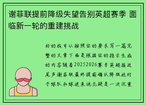 谢菲联提前降级失望告别英超赛季 面临新一轮的重建挑战